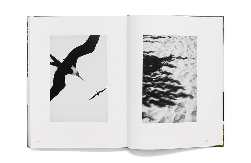 Ralph Gibson. Secret of Light - Ralph Gibson | moom bookshop - art