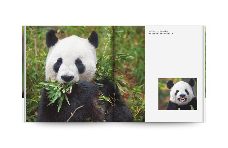 Panda - Mitsuaki Iwago | moom bookshop - art books and magazines