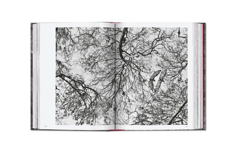 Sebastião Salgado. Genesis - Sebastião Salgado | moom bookshop