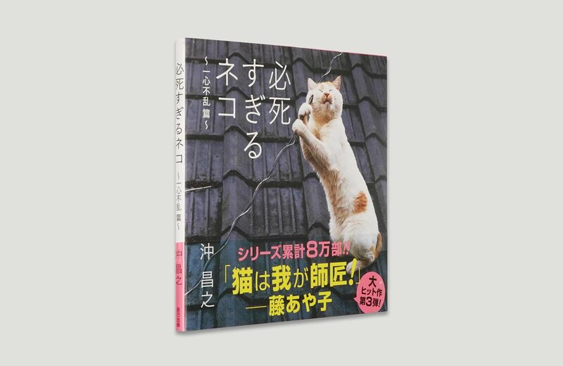 必死すぎるネコ：一心不乱篇- 沖昌之| moom bookshop - 藝術書籍與雜誌