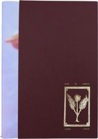 Flor de Jamaica (9781999789299)