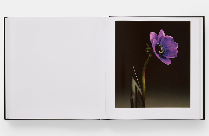 Mapplethorpe Flora: The Complete Flowers - Robert Mapplethorpe