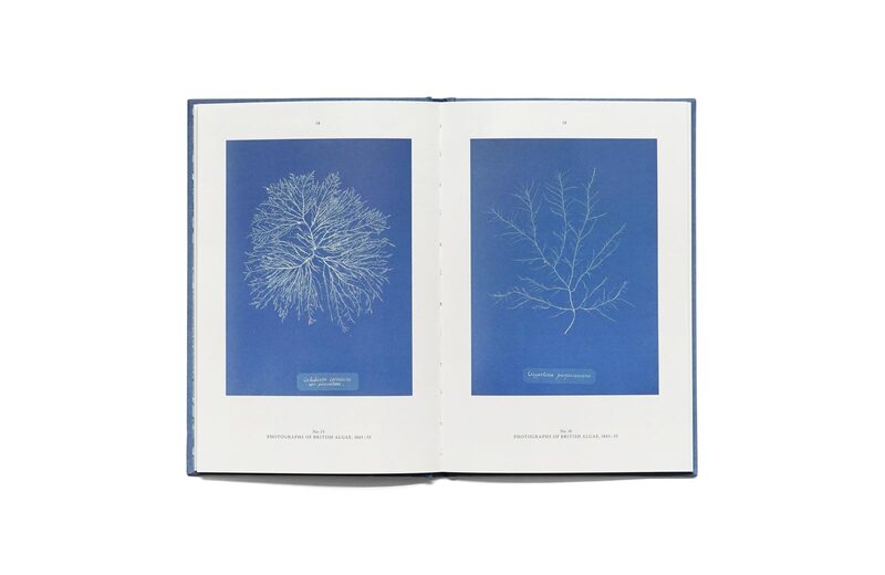 Anna Atkins: Blue Prints - Anna Atkins | moom bookshop - art books and magazines