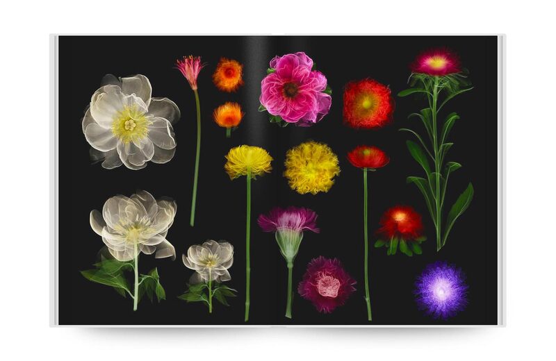 Encyclopedia of Flowers VI - Azuma Makoto, Shiinoki Shunsuke