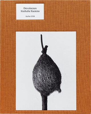 Des Oiseaux - Nathalie Baetens (9782365114318)