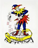 The Incomplete Deck (9789083612744)