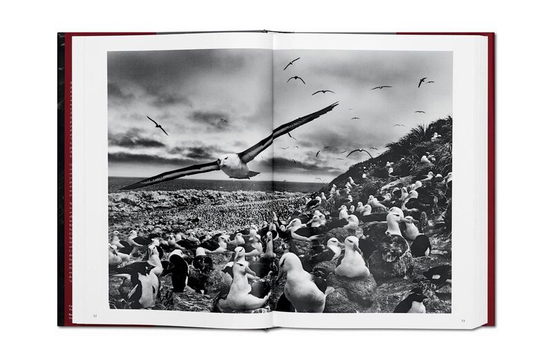 Sebastião Salgado. GENESIS - Sebastião Salgado | moom bookshop