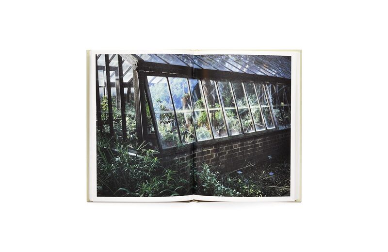 Takashi Homma ホンマタカシ IN OUR NATURE In Our Nature