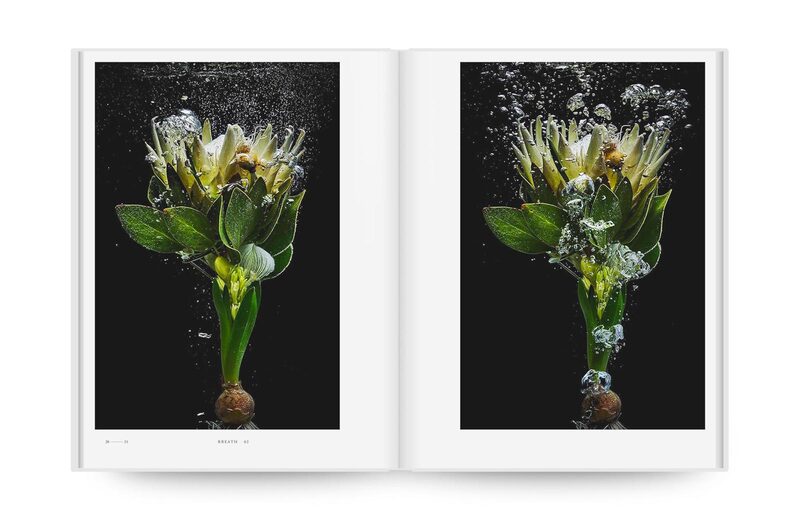 Encyclopedia of Flowers VI - Azuma Makoto, Shiinoki Shunsuke