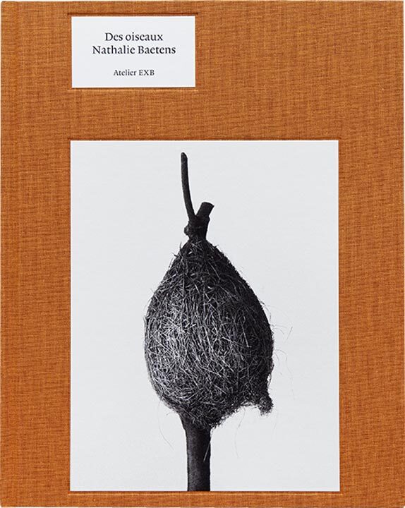 Des Oiseaux - Nathalie Baetens (9782365114318)