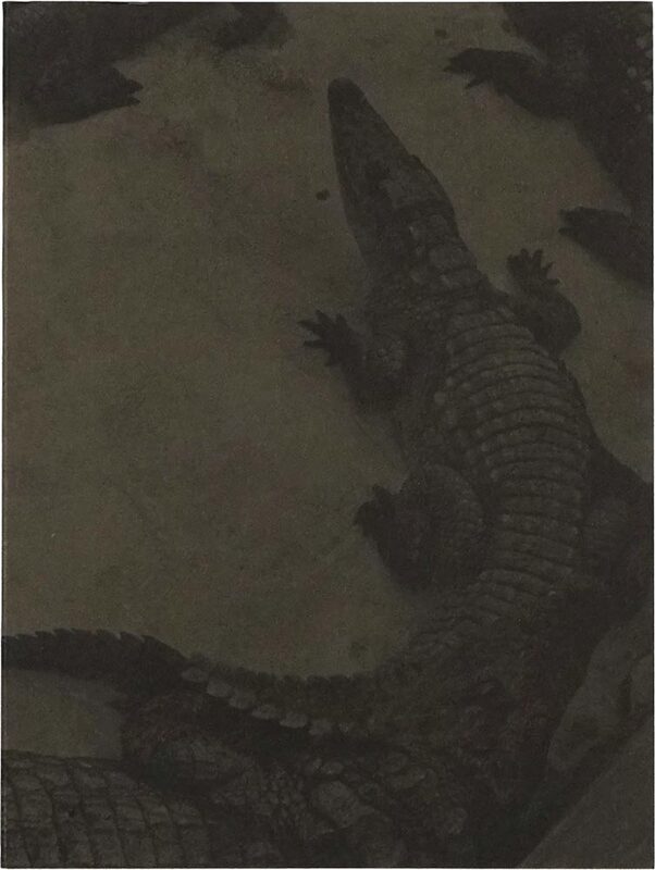 Rester (9782918960669)