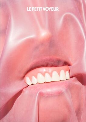 Le Petit Voyeur 7 (9772246185001)