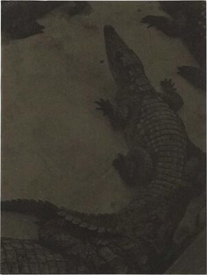 Rester (9782918960669)