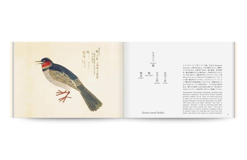 A Guide to Classical Japanese Birds | moom bookshop - art books