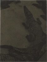 Rester (9782918960669)