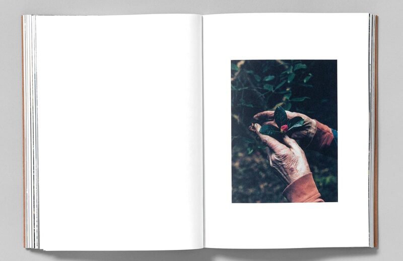 A Voice Above The Linn - Robbie Lawrence | moom bookshop