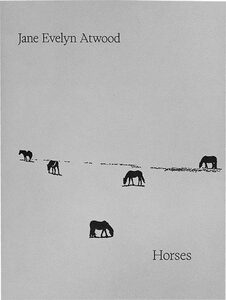 【超希少】A Criminal Investigation 渡部雄吉 A Criminal Investigation - 渡部 雄吉 / Yukichi Watabe