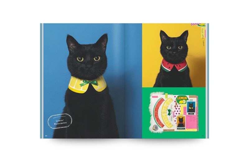 シュコ　黒猫 The Black Cat and the Collar - Akiko Kino | moom bookshop - art