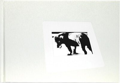 Daido Slide (left)