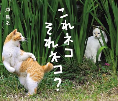 This Cat, That Cat? (9784295021155)