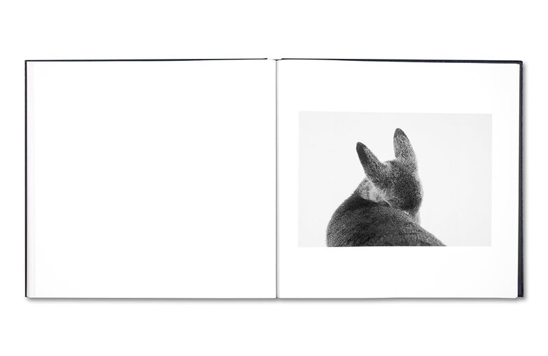Some Say Ice - Alessandra Sanguinetti | moom bookshop - art books