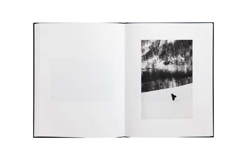 Des Oiseaux - Bernard Plossu - Bernard Plossu | moom bookshop