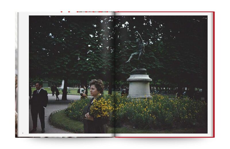 Wild Flowers - Joel Meyerowitz | moom bookshop - art books and