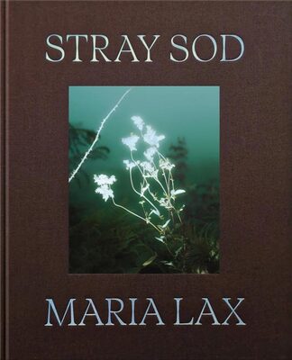 Stray Sod (9781915652287)