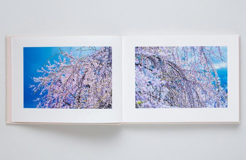 入手困難！蜷川実花　BABY BLUE SKY - 1 蜷川実花：VIRA (SKY Edition) - 蜷川実花| moom bookshop - 藝術書籍