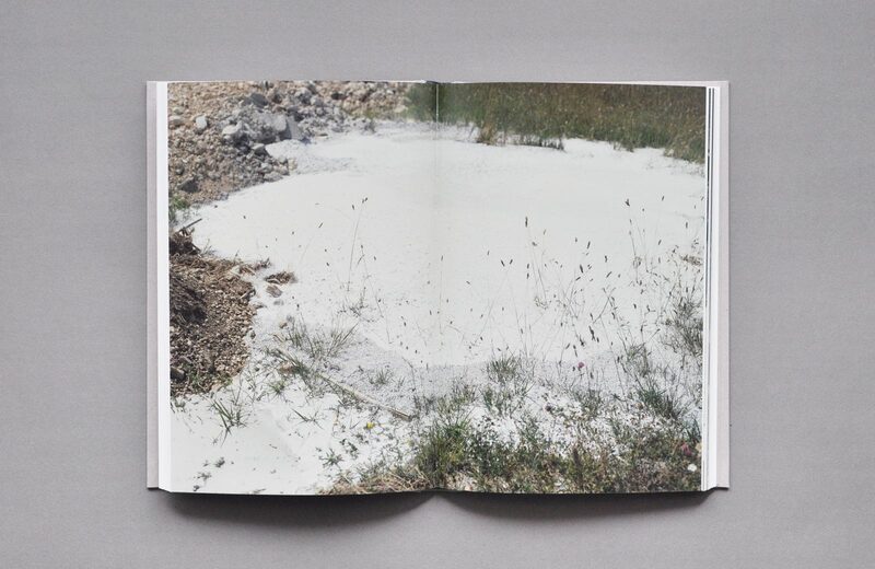 The Habit of Being - Kate Barry | moom bookshop - art books and