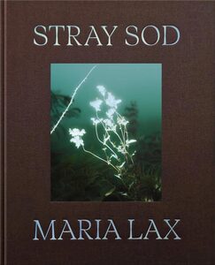 Stray Sod (9781915652287)