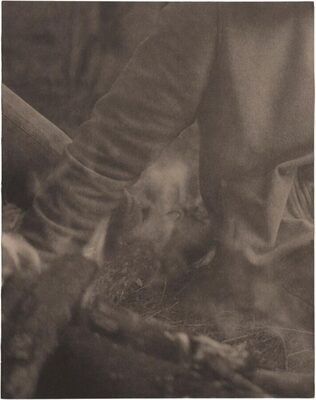 La Ronde des hirondelles (9791096383528)