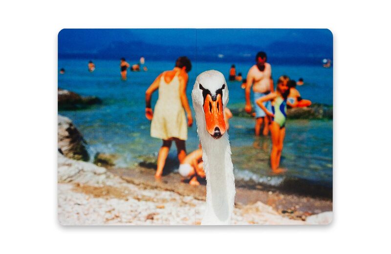 Martin Parr: Animals - Martin Parr | moom bookshop - art books and