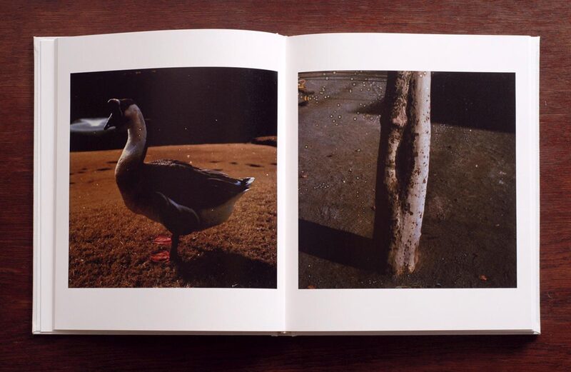 鏡と心中 - 秦雅則 | moom bookshop - 藝術書籍與雜誌