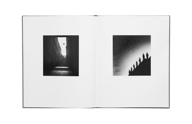 Des Oiseaux - Michael Kenna - Michael Kenna | moom bookshop  