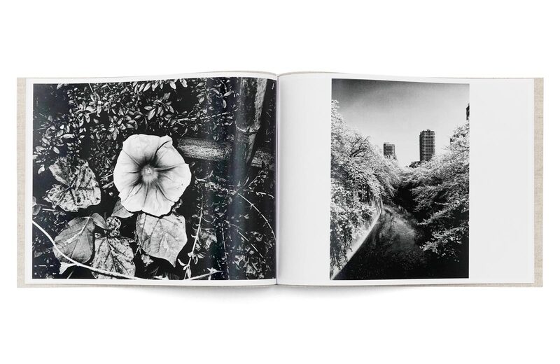 FLOWERS - 森山大道 | moom bookshop - 藝術書籍與雜誌