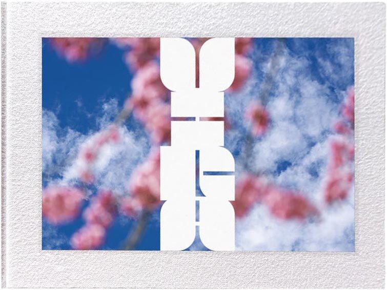 蜷川実花：VIRA (SKY Edition) - 蜷川実花| moom bookshop - 藝術書籍