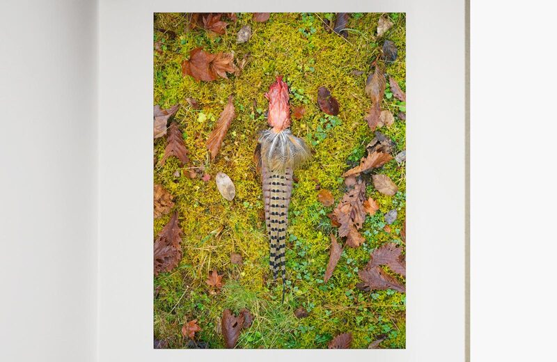 いのちのうちがわ- 石川竜一| moom bookshop - 藝術書籍與雜誌