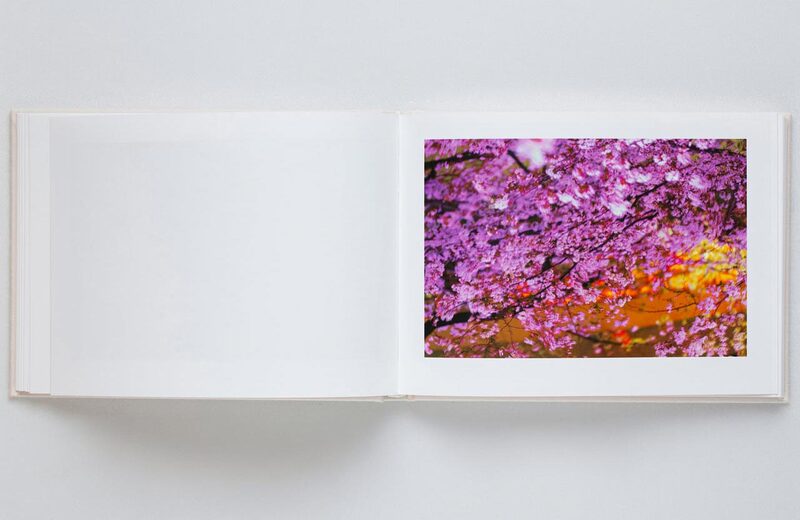 Mika Ninagawa: VIRA (SKY Edition) - Mika Ninagawa | moom bookshop