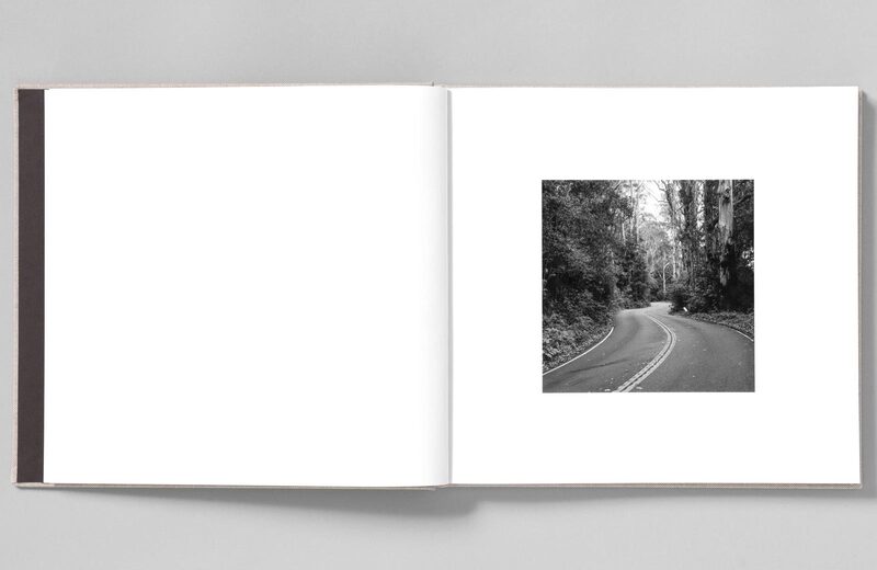 In The Gold Dust Rush - Jason Lee | moom bookshop - art books and
