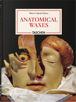 Anatomical Waxes (9783754402177)