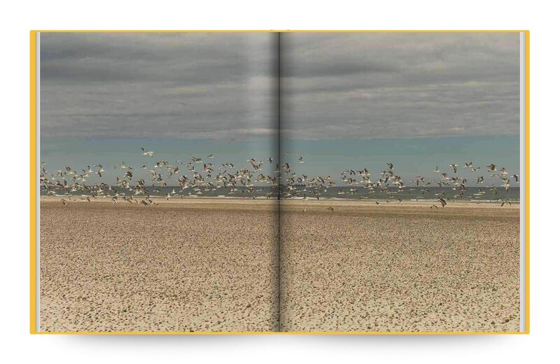 洋書 LIKE BIRDS EVEN JACOBSEN Like Birds - Sven Jacobsen | moom bookshop - art books and magazines