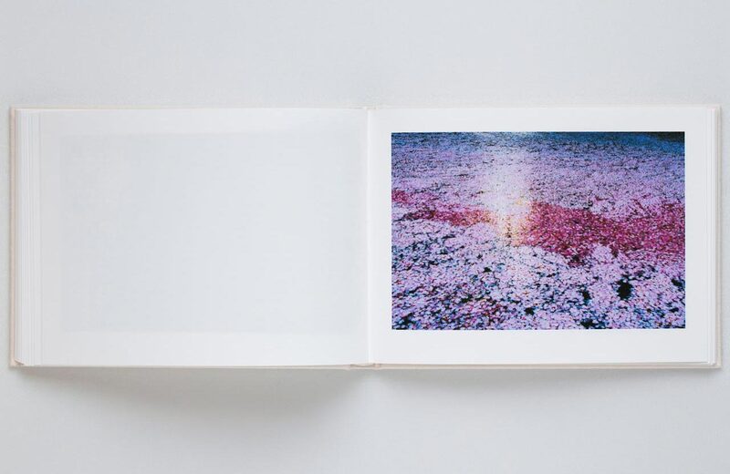 Mika Ninagawa: VIRA (SKY Edition) - Mika Ninagawa | moom bookshop