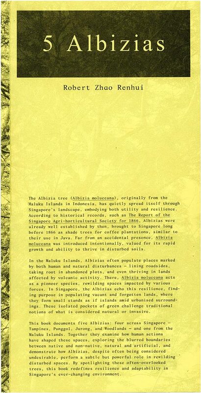 5 Albizias (9789819419012)