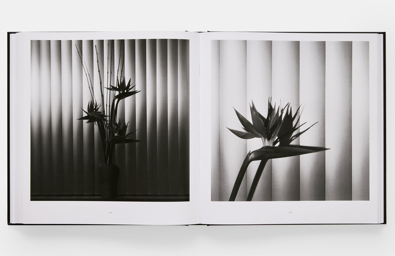 Mapplethorpe Flora: The Complete Flowers - Robert Mapplethorpe