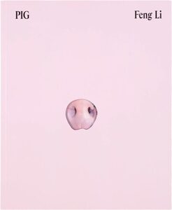 Feng Li - Feng Li | moom bookshop - art books and magazines