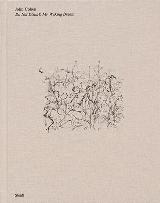 Do Not Disturb My Waking Dream (9783958296794)