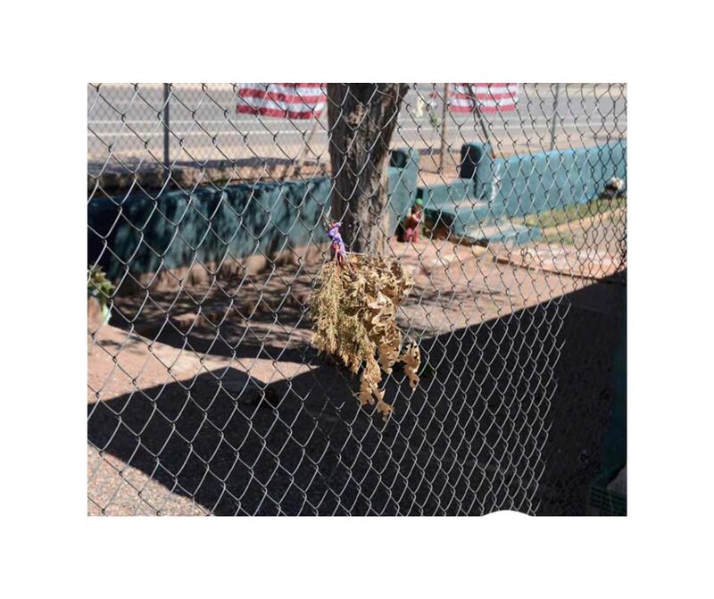 WINSLOW ARIZONA - Stephen Shore | moom bookshop - art books and