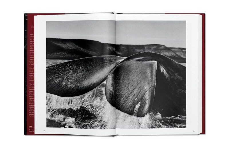 Sebastião Salgado. GENESIS - Sebastião Salgado | moom bookshop
