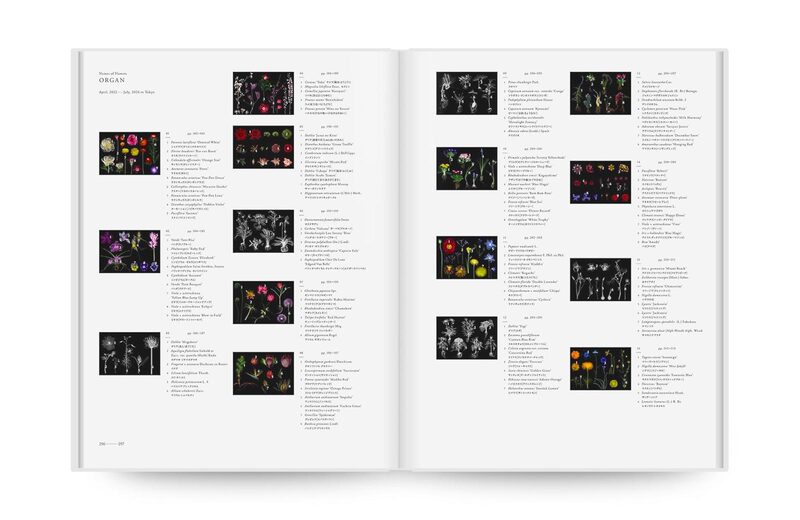 Encyclopedia of Flowers VI - Azuma Makoto, Shiinoki Shunsuke